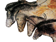 Chevaux de la grotte Chauvet (31 000 BP) Lieu de la découverte : Grotte Chauvet, Ardèche, France Date : 31 000 BP (Aurignacien)