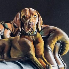CYNTHIA.B Artiste peintre spécialisée  dans le Pop Art et les portraits à l'encre